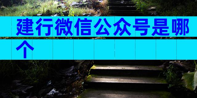 建行微信公众号是哪个