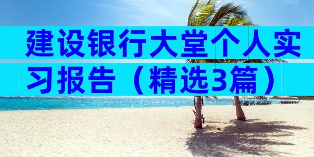 建设银行大堂个人实习报告（精选3篇）