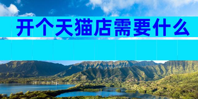开个天猫店需要什么
