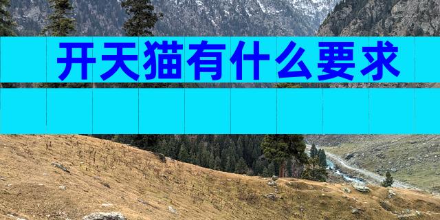 开天猫有什么要求