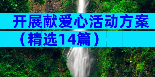 开展献爱心活动方案（精选14篇）