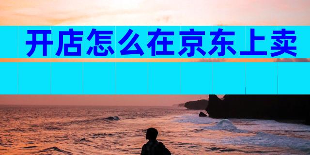 开店怎么在京东上卖