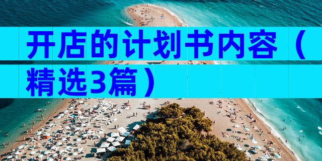 开店的计划书内容（精选3篇）