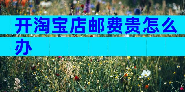 开淘宝店邮费贵怎么办