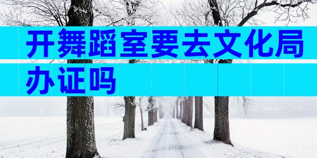 开舞蹈室要去文化局办证吗