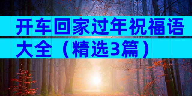开车回家过年祝福语大全（精选3篇）