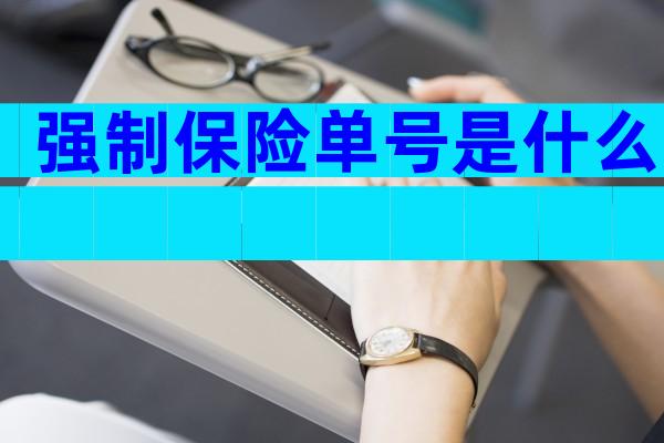 强制保险单号是什么