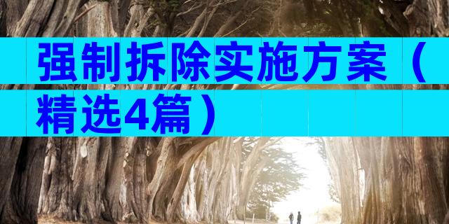 强制拆除实施方案（精选4篇）