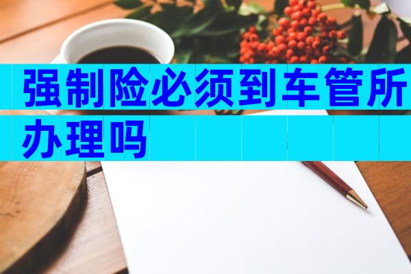 强制险必须到车管所办理吗
