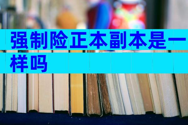 强制险正本副本是一样吗