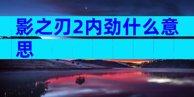 影之刃2内劲什么意思
