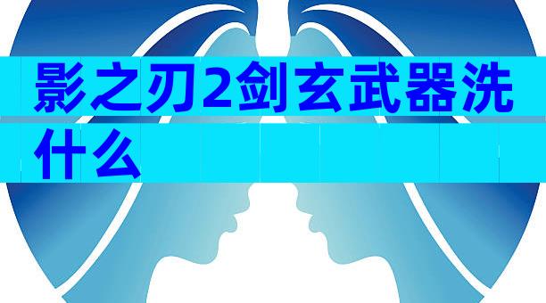 影之刃2剑玄武器洗什么