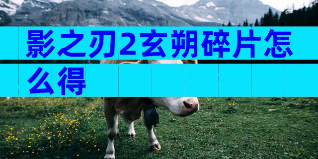 影之刃2玄朔碎片怎么得