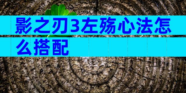 影之刃3左殇心法怎么搭配