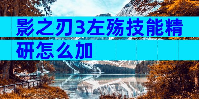 影之刃3左殇技能精研怎么加