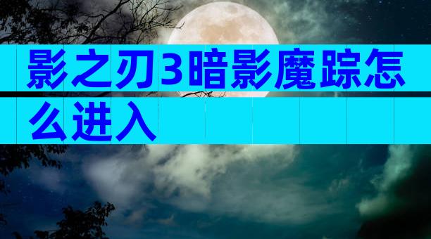 影之刃3暗影魔踪怎么进入