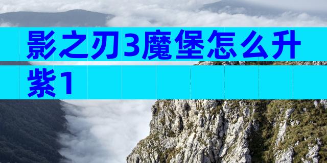 影之刃3魔堡怎么升紫1