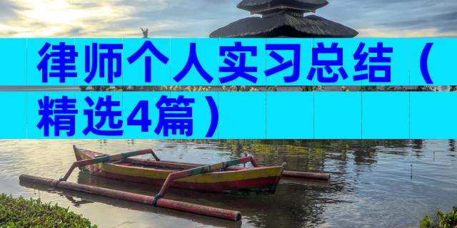律师个人实习总结（精选4篇）