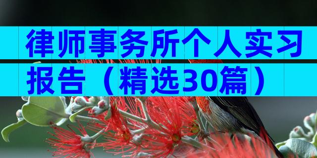 律师事务所个人实习报告（精选30篇）