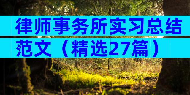 律师事务所实习总结范文（精选27篇）