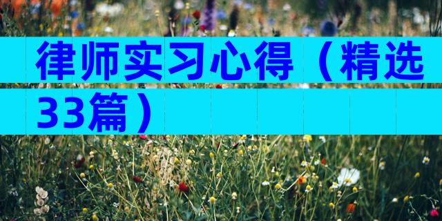 律师实习心得（精选33篇）