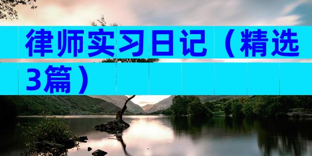 律师实习日记（精选3篇）