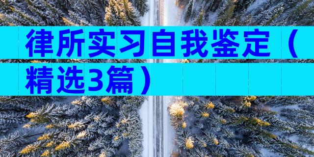 律所实习自我鉴定（精选3篇）