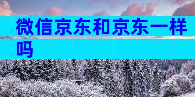 微信京东和京东一样吗