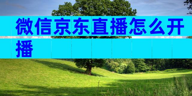 微信京东直播怎么开播