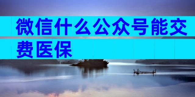 微信什么公众号能交费医保