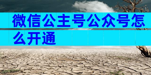 微信公主号公众号怎么开通