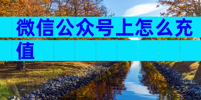 微信公众号上怎么充值
