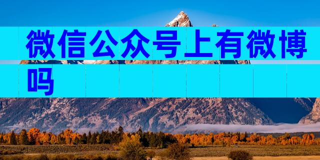 微信公众号上有微博吗