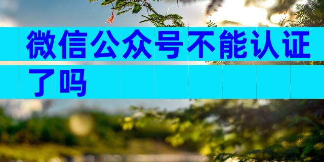 微信公众号不能认证了吗