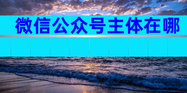 微信公众号主体在哪