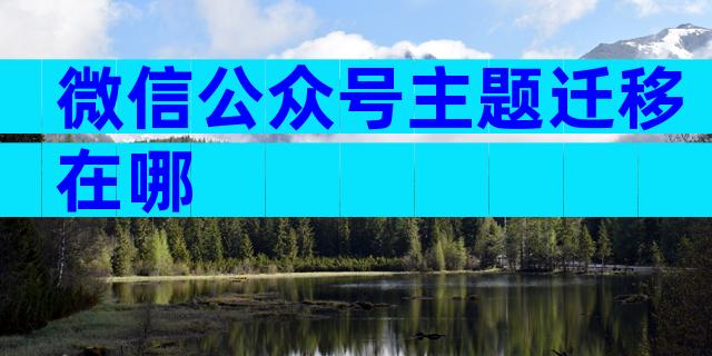 微信公众号主题迁移在哪