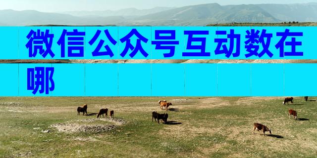 微信公众号互动数在哪