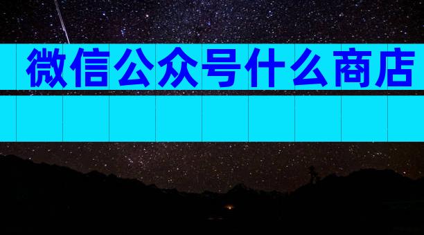 微信公众号什么商店