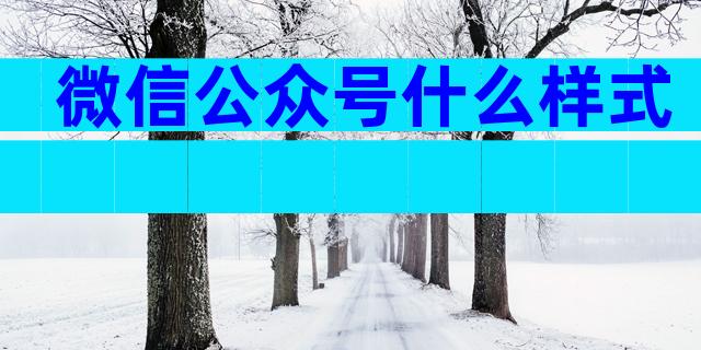 微信公众号什么样式