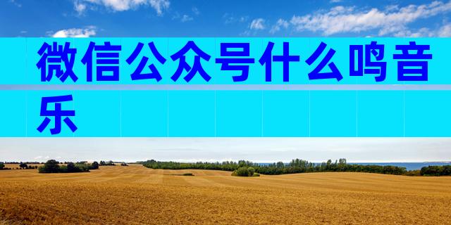 微信公众号什么鸣音乐