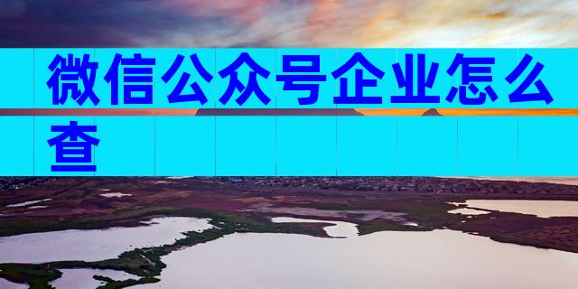 微信公众号企业怎么查