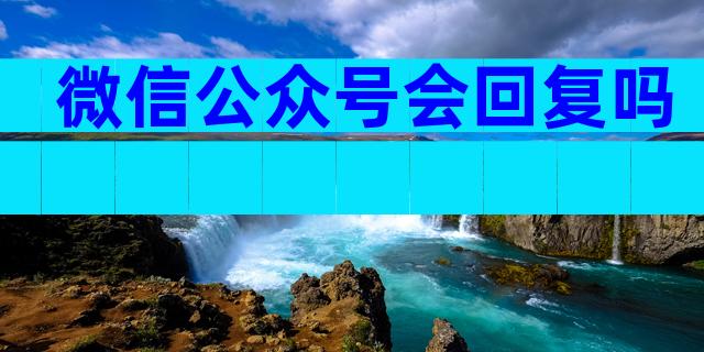微信公众号会回复吗