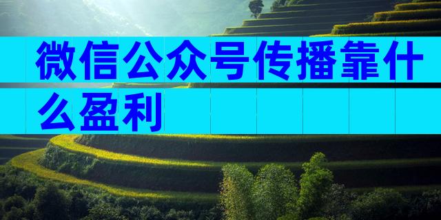 微信公众号传播靠什么盈利