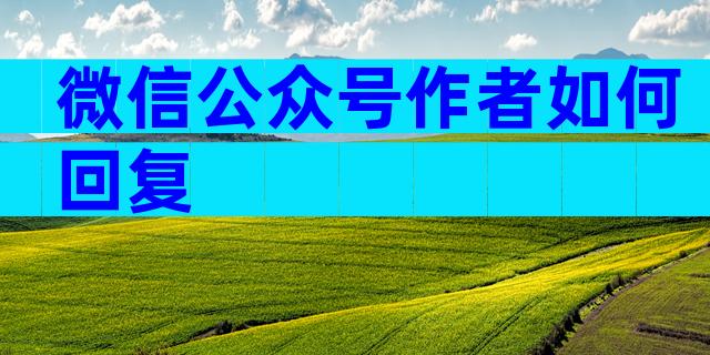 微信公众号作者如何回复