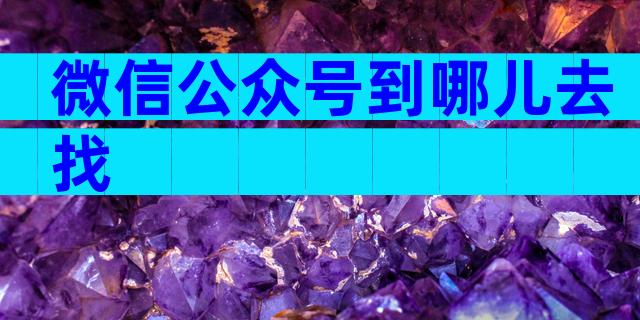 微信公众号到哪儿去找