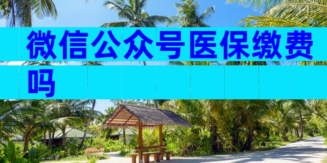 微信公众号医保缴费吗