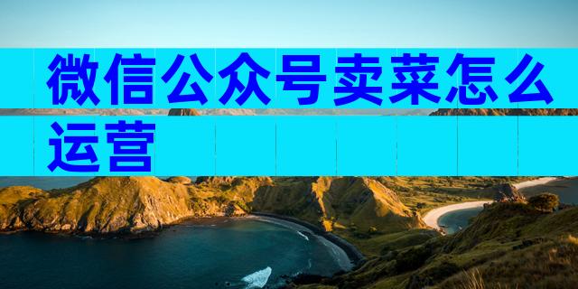微信公众号卖菜怎么运营