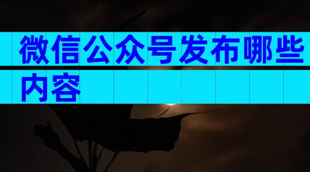 微信公众号发布哪些内容