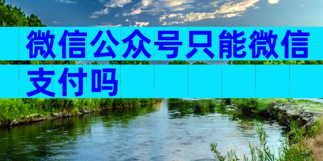 微信公众号只能微信支付吗