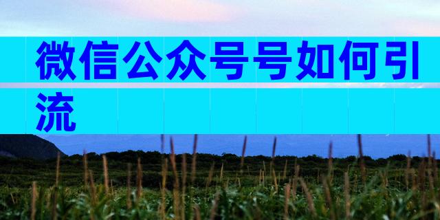 微信公众号号如何引流